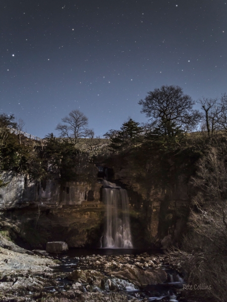 Moonlit Thornton Force