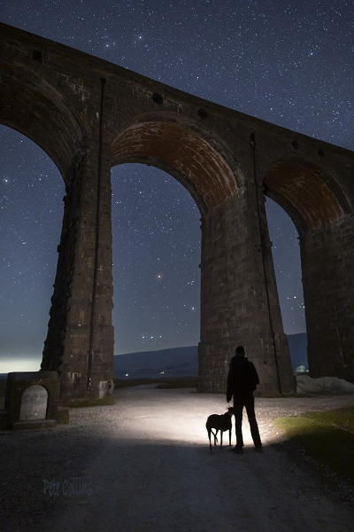 One man & his dog, Ribblehead