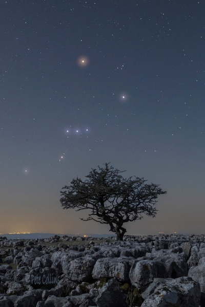 Orion over the lone tree, Twistleton Scar