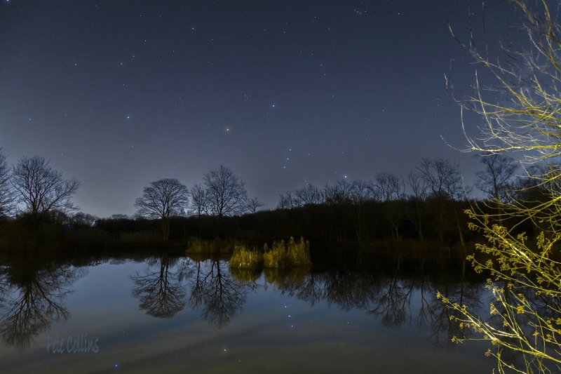 Orion rising, Rhodes Lodges, Middleton