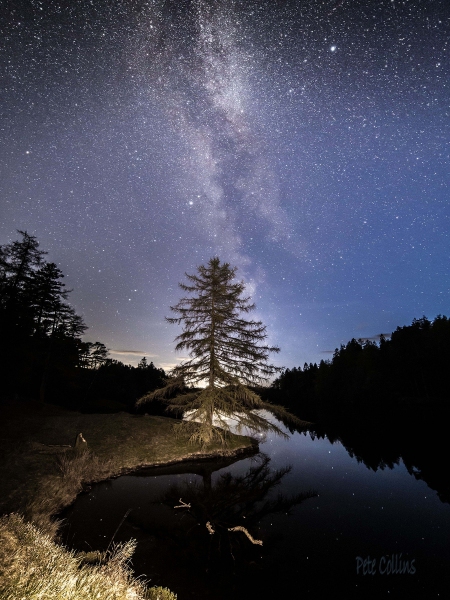 Tarn Hows Milky Way