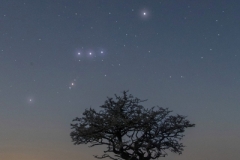 Orion over the lone tree, Twistleton Scar