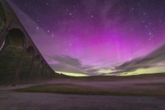 Aurora, mist & sheep Ribblehead 12th Aug 24