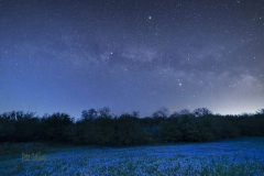 Midnight bluebells & the Milky Way, Oxenber Wood, Austwick