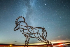 Milky Way and the Goat - Goat Gap Cafe, Newby