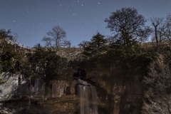 Moonlit Thornton Force